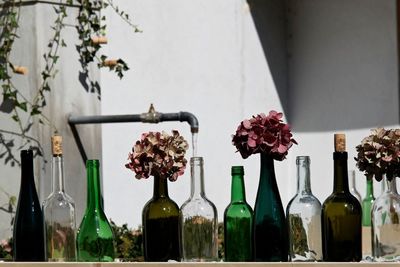 Close-up of flowers in vase on table