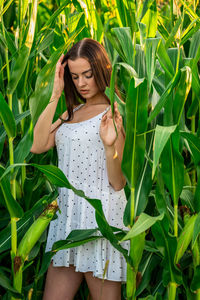 Young beautiful woman in white dress in corn field.