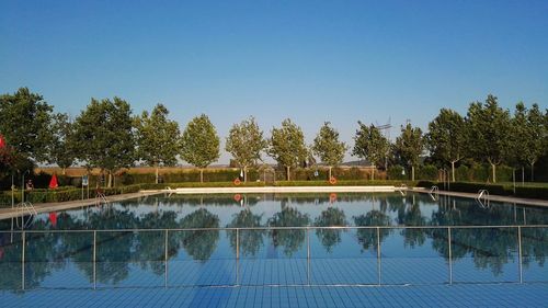 Reflection of trees in water of a swimming pool