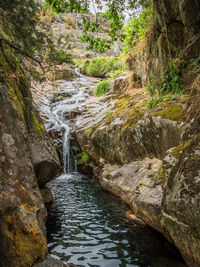 Stream flowing through rocks in forest