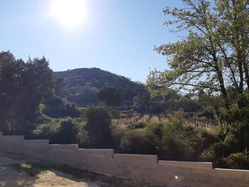 Trees on landscape against sky on sunny day