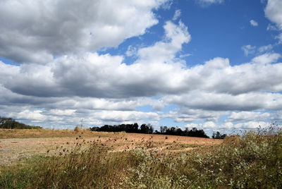 Scenic view of field against sky