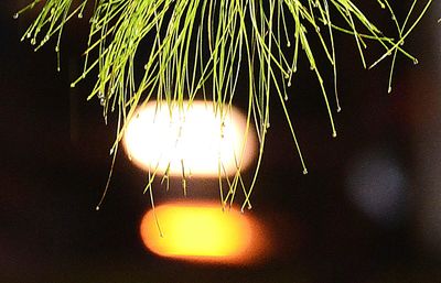 Low angle view of illuminated lamp