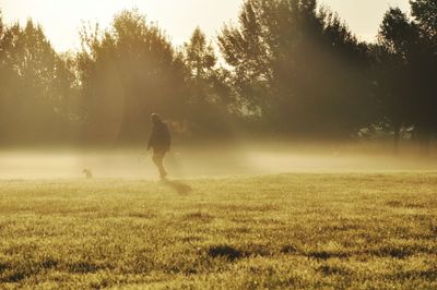 Trees on grassy field in foggy weather