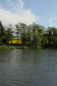 nature