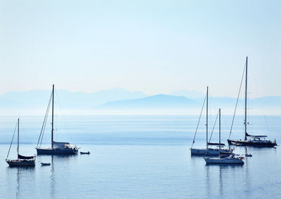 Sailboats sailing on sea against sky