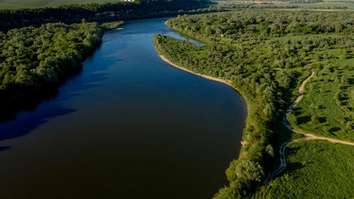 High angle view of river amidst trees