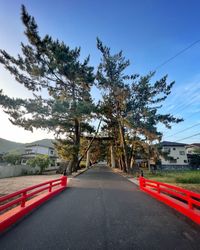 Road amidst trees against sky