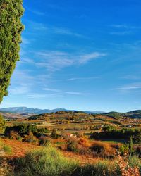 Scenic view of landscape against blue sky