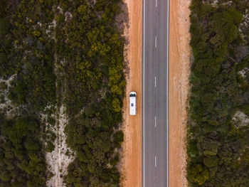 Scenic view of road by trees on land