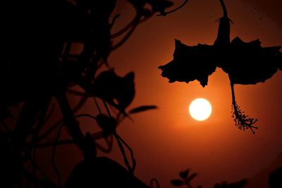 Low angle view of silhouette trees against sky during sunset