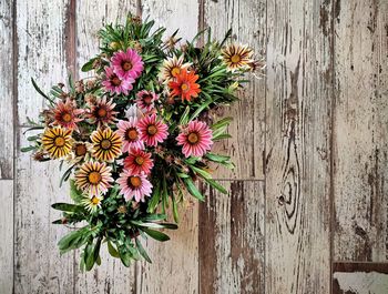 High angle view of flowering plants on table