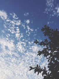 Low angle view of trees against blue sky