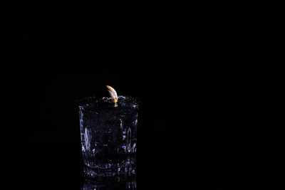 Close-up of fire against black background