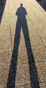 Shadow of people on road