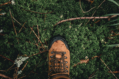 Low section of man standing by plants