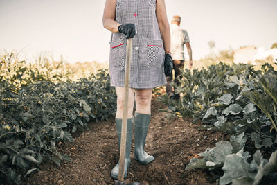 Female agricultural worker holding shovel while standing at vegetable farm