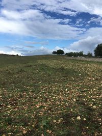 Scenic view of field against sky