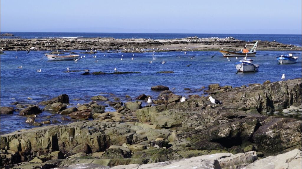 Punta lavapie provincia de arauco