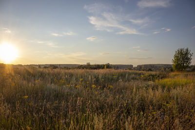 Scenic view of field against sky during sunset