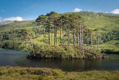 Eilean na moine island at loch eilt, scotland, uk.  harry potter film location 