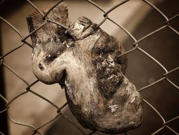 Close-up of chainlink fence