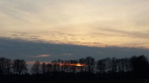 Silhouette of trees at sunset