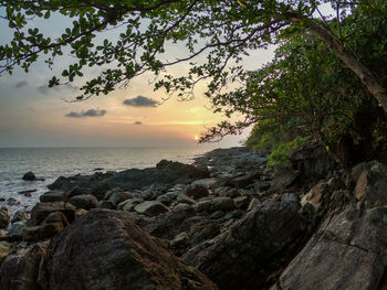 Scenic view of sea against sky during sunset