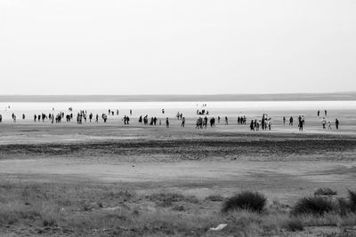 People on land against clear sky