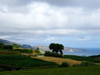 Scenic view of landscape against sky