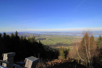 High angle view of trees on landscape against blue sky