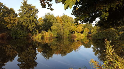 Reflection of trees on lake during autumn