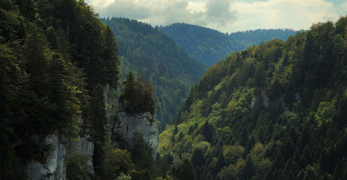 Scenic view of mountains