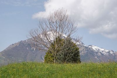 Scenic view of mountains against sky