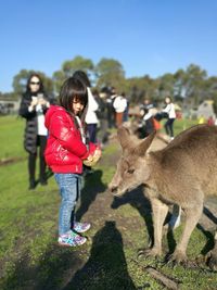 Full length of girl standing by kangaroo at maru koala and animal park
