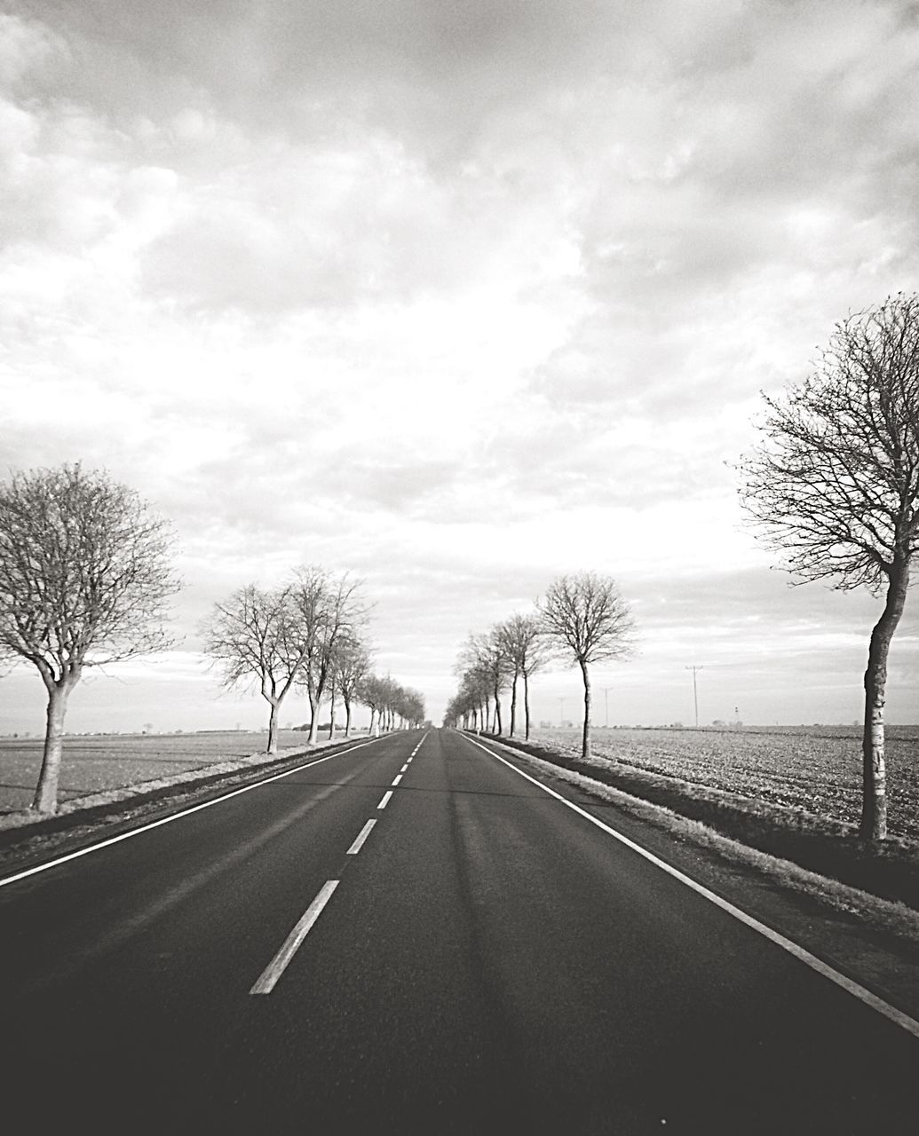 EMPTY ROAD WITH TREES IN BACKGROUND