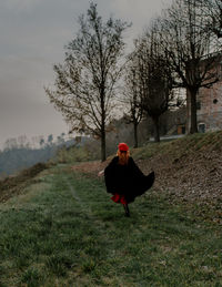 Rear view of young woman running on field in autumn