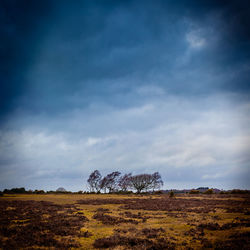 Scenic view of field against cloudy sky