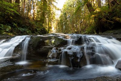 Waterfall in forest