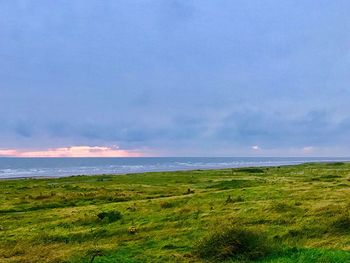 Scenic view of sea and field against sky