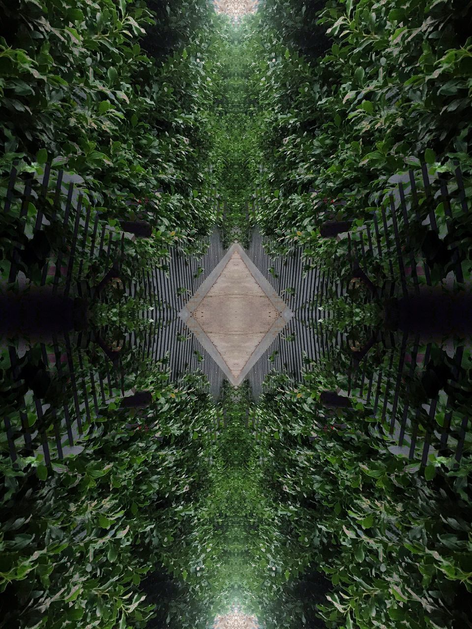 DIGITAL COMPOSITE IMAGE OF BAMBOO TREES