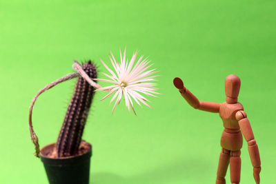 Close-up of figurine and cactus against green background