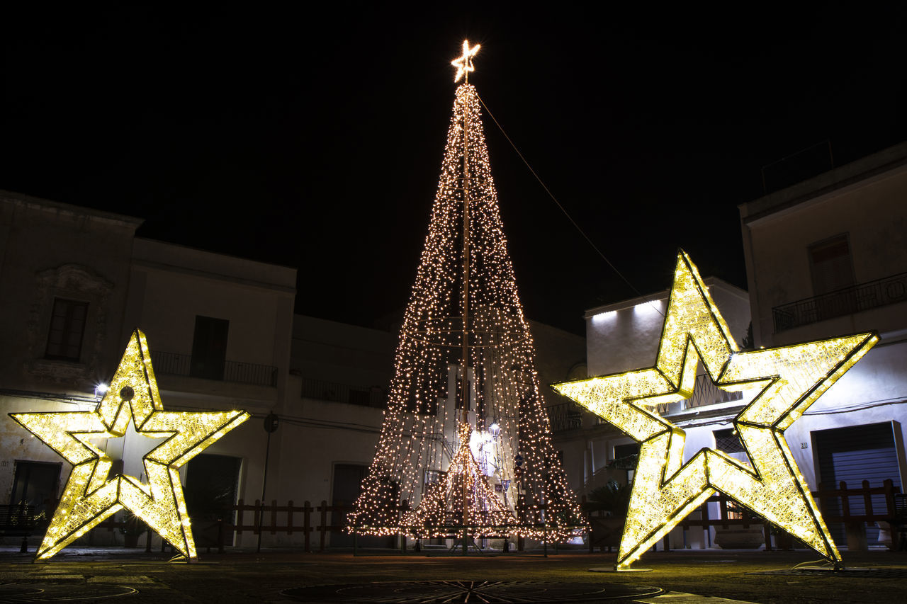 LOW ANGLE VIEW OF ILLUMINATED CHRISTMAS TREE BY BUILDING