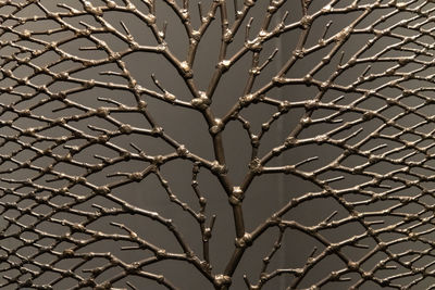 branch