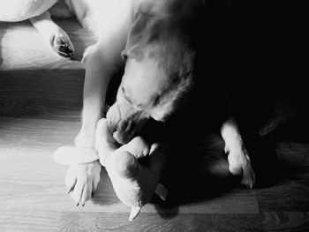 High angle view of woman sitting on floor at home