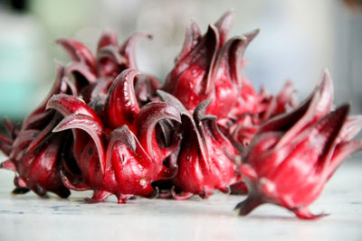 Close-up of red chili peppers