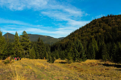 Scenic view of tree mountains against sky