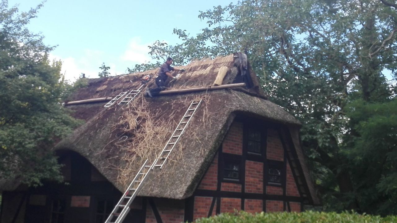 LOW ANGLE VIEW OF ROOF AGAINST TREES