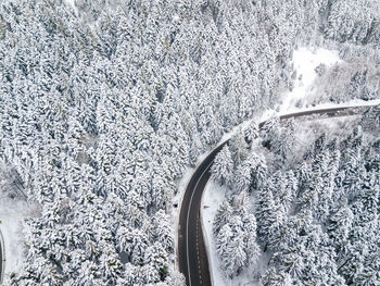 High angle view of snow covered road