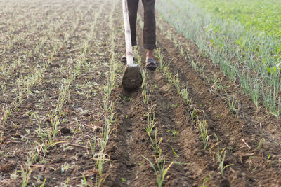 Low section of person cultivating field